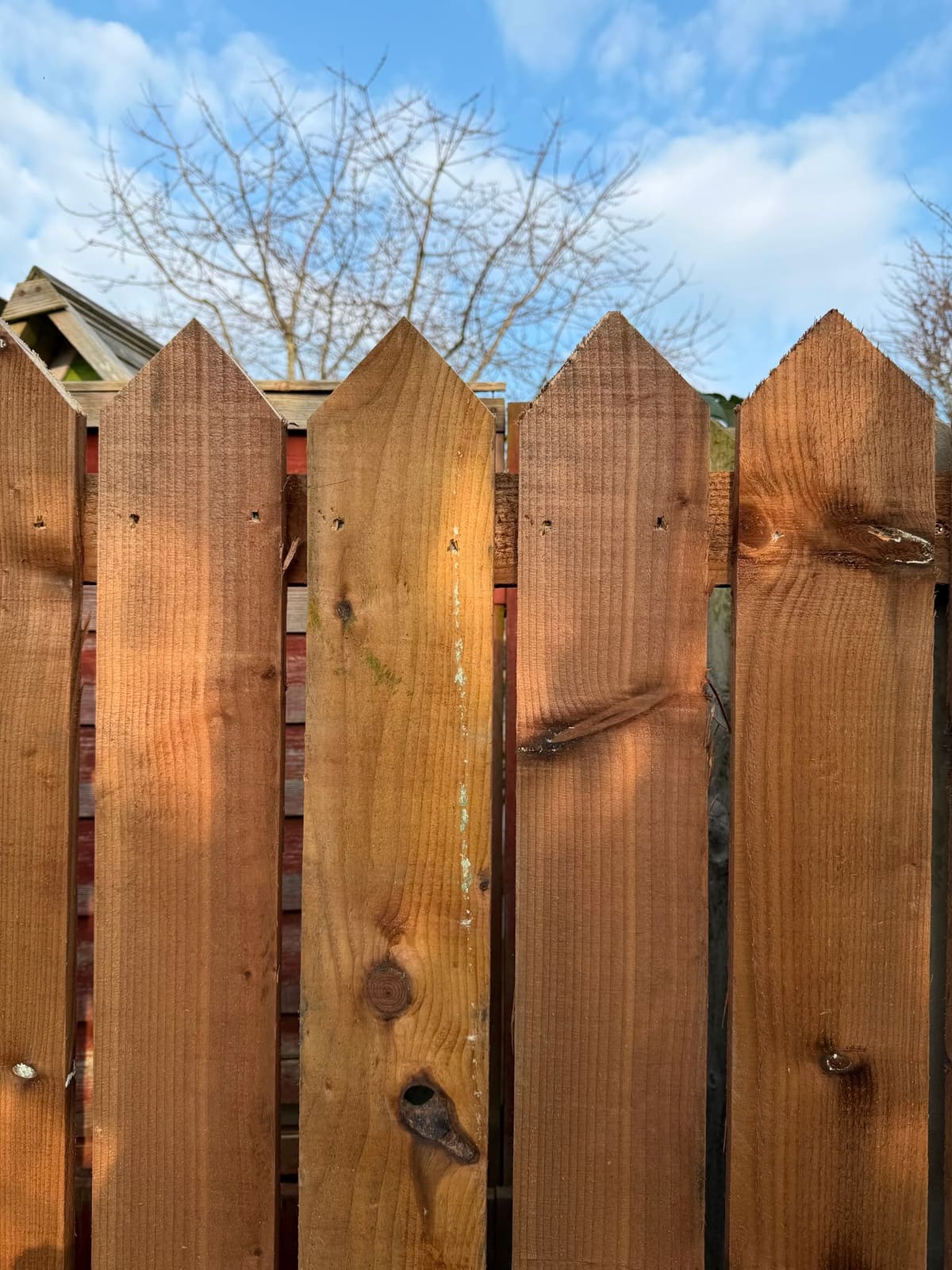Detail of the pointed fence boards against the sky